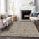 Chayden Indoor/Outdoor Chantille ACN1009 Area Rug