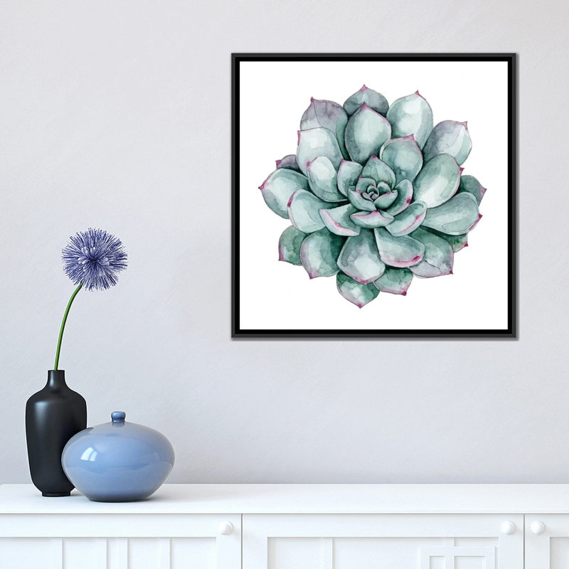 « succulent nuancier ii », impression sur toile, H 18 po x l 18 po x P 1,5 po, Toile avec cadre noir, Pas de tapis