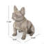 Statue de jardin bouledogue français Ohara-1091907836