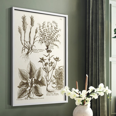 «Sepia Botanical Journal VII», reproduction encadrée - bois massif