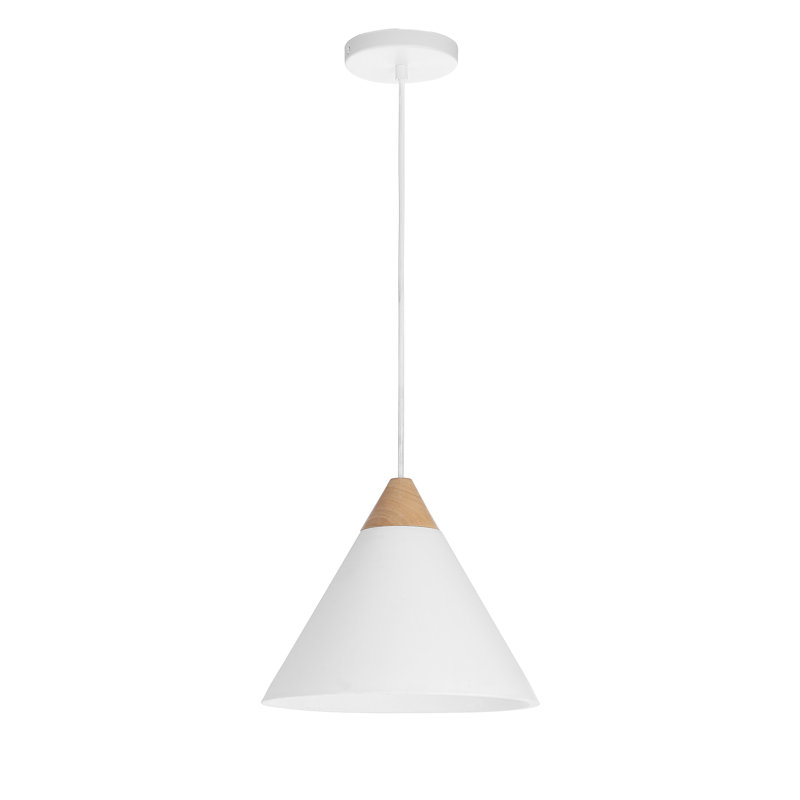Daya 1 - Light Pendant by Renwil