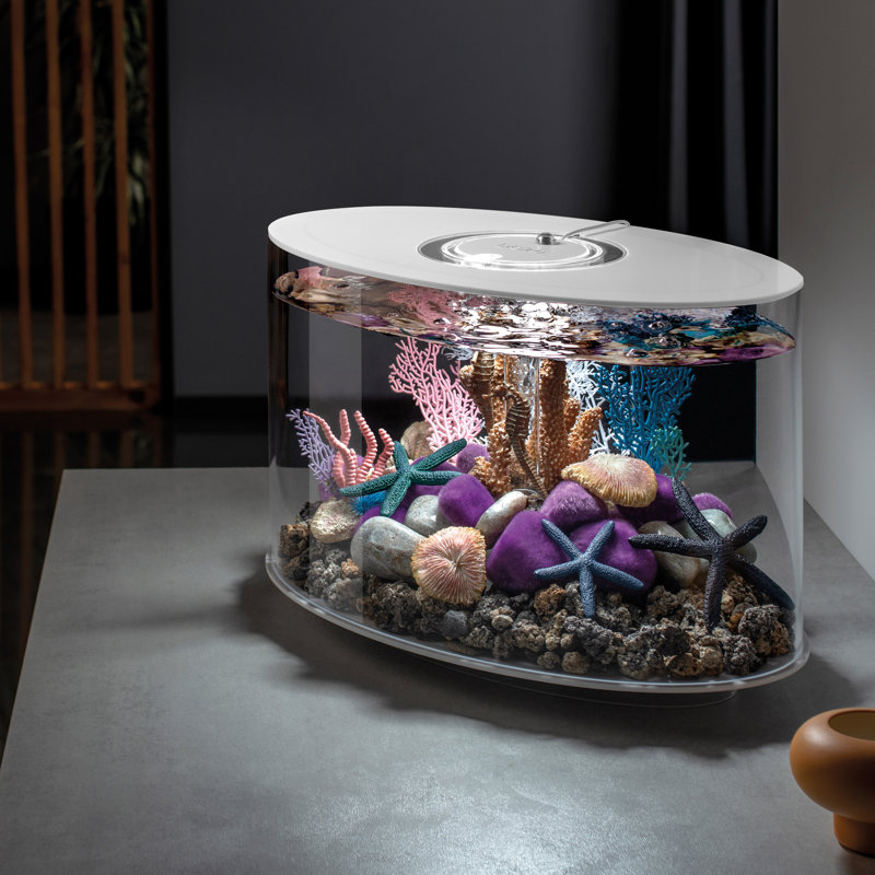 LOOP 15 Aquarium with MCR Light - 4 Gallon