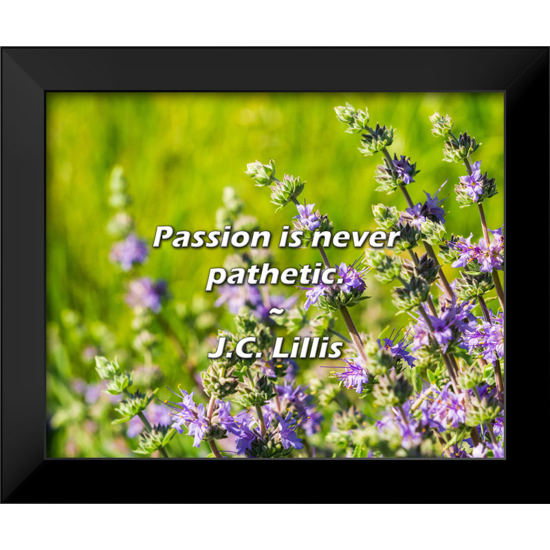 J.C. Lillis Quote: Passion is never pathetic.