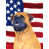 Bull-mastiff 2 sélectionné