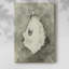 Neutral Oyster Shell III -Gallery Wrapped Cavas-108824720