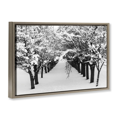 Toile flottante encadrée dorée Winter Tree Pathway par Nancy Crowell