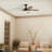 52'' Ceiling Fan with LED Lights-239975205