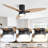 Kemp 56" 3 Solid Wood Blades ModernCeiling Fan with Dimmable Light Kit, Remote Control