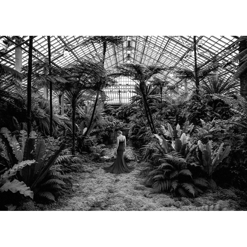 3AP6121 Unconventional Womenscape #2, Jardin D'Hiver (BW) by Julian Lauren - Wrapped Canvas Art Prints