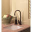 Georgian Era Bar/Food Prep Kitchen Faucet-55250664