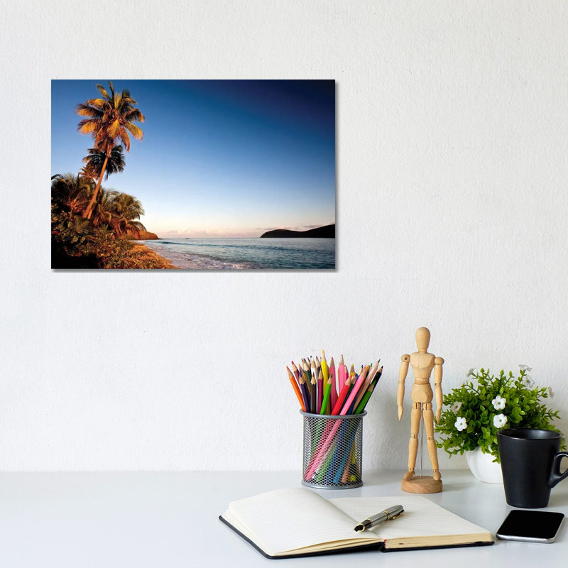 Palm Tree On Beach At Sunset, Culebra Island, Puerto Rico - Wrapped Canvas Print, 20.32 cm H x 30.48 cm W