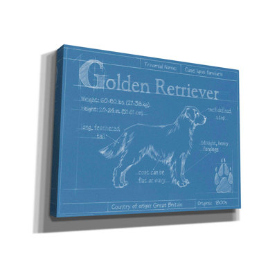 Art mural sur toile Trinx «Blueprint Golden Retriever» par Ethan Harper