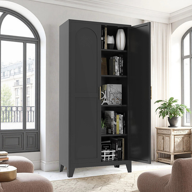 2 Shapely Doors Cabinet, Metal Storage Cabinet With Doors And Adjustable Shelves, Living Room Cabinet, Black