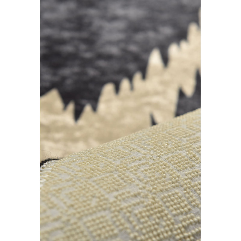 Premium Machine Washable Carpet, 4.6 x 6.2 ft, 100% Polyester, 0.2 in Pile Height | Antibacterial & Non-Slip Underside | Durable with 700 g/m² | Easy Care, Ideal for Living Room & Bedroom Décor