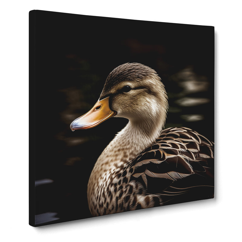 Duck Photograph - Print, 35cm H x 35cm W x 3cm D