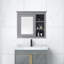 Armoire à pharmacie Syire-1630161767