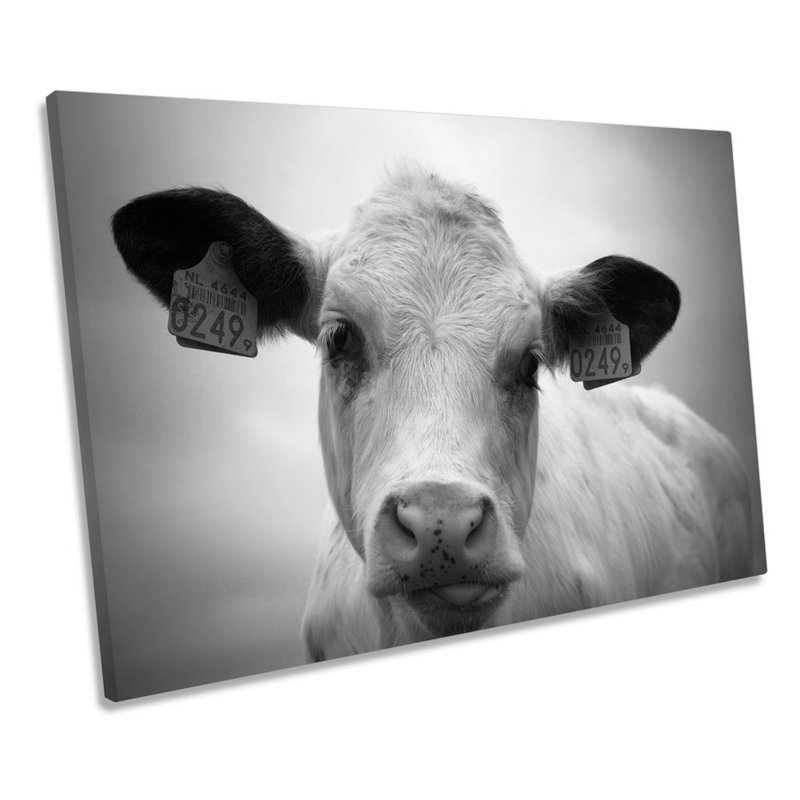 Farm Cow Face B&W - Wrapped Canvas Print, 30.5cm H x 45.7cm W x 2cm D