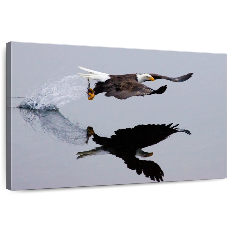 Brampt Fishing Bald Eagle