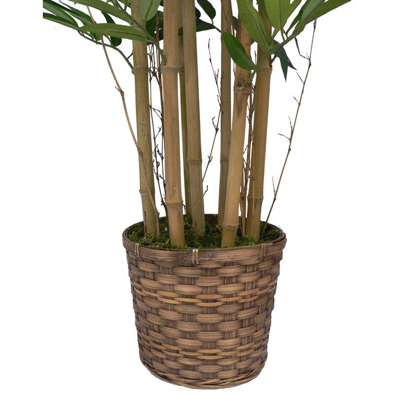 Tall High End Realistic Silk Bamboo Tree in Basket, 1