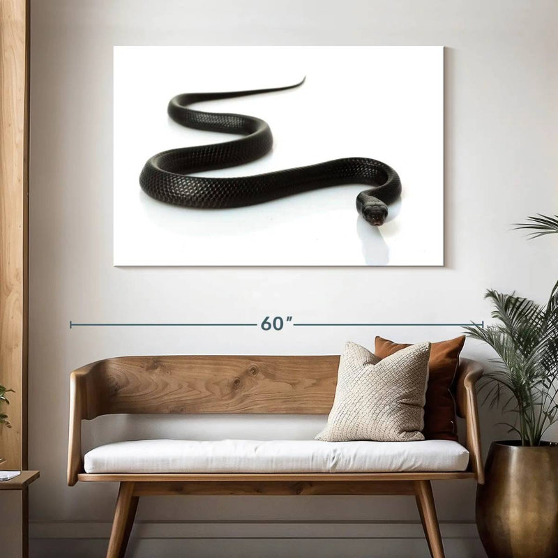 Eastern Indigo Snake, 32" H x 48" W