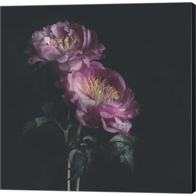 «Dark Florals» par Sarah Gardner - impression sur toile tendue