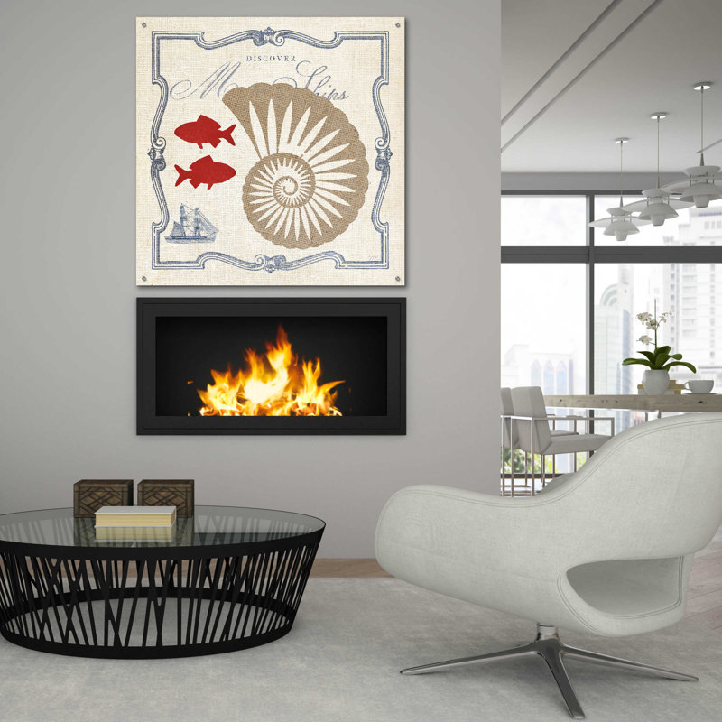 Beachcrest Home ™ «Pacific Nautilus» par Studio Mousseau, art mural en verre acrylique, H 36 po x l 36 po x P 0,2 po