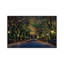 Central Park Magic by David Gardiner - Print on Canvas-223224901-223224902