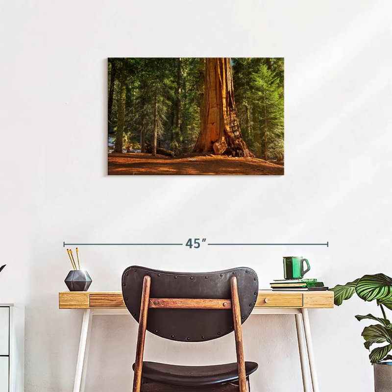 Alvord général Grant Grove arbres, H 20 po x l 30 po