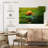 Brampt Snail On Turtle-108875007