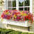 Mixed Color 16 bundles