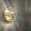 Photos des clients 1 de 1