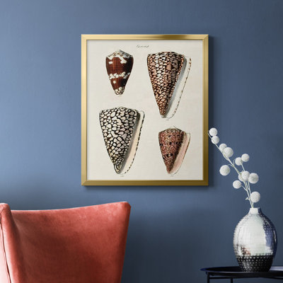 Cone Shell Collection I, toile encadrée de qualité supérieure - prête à être accrochée