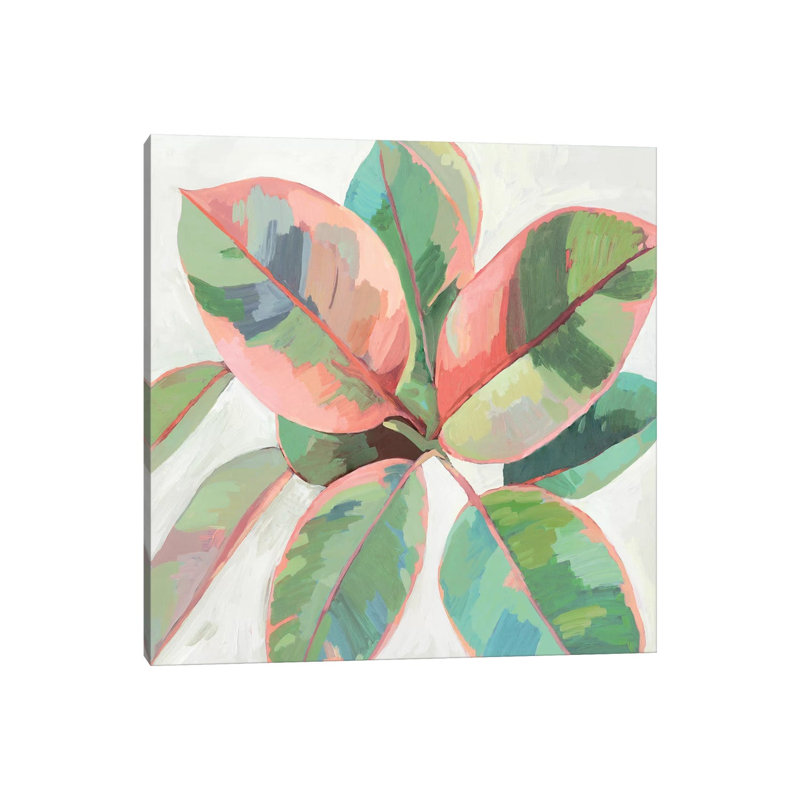 Pink Ficus II by Asia Jensen - Painting on Canvas, 45.72cm H x 45.72cm W x 3.81cm D, Wrapped Canvas
