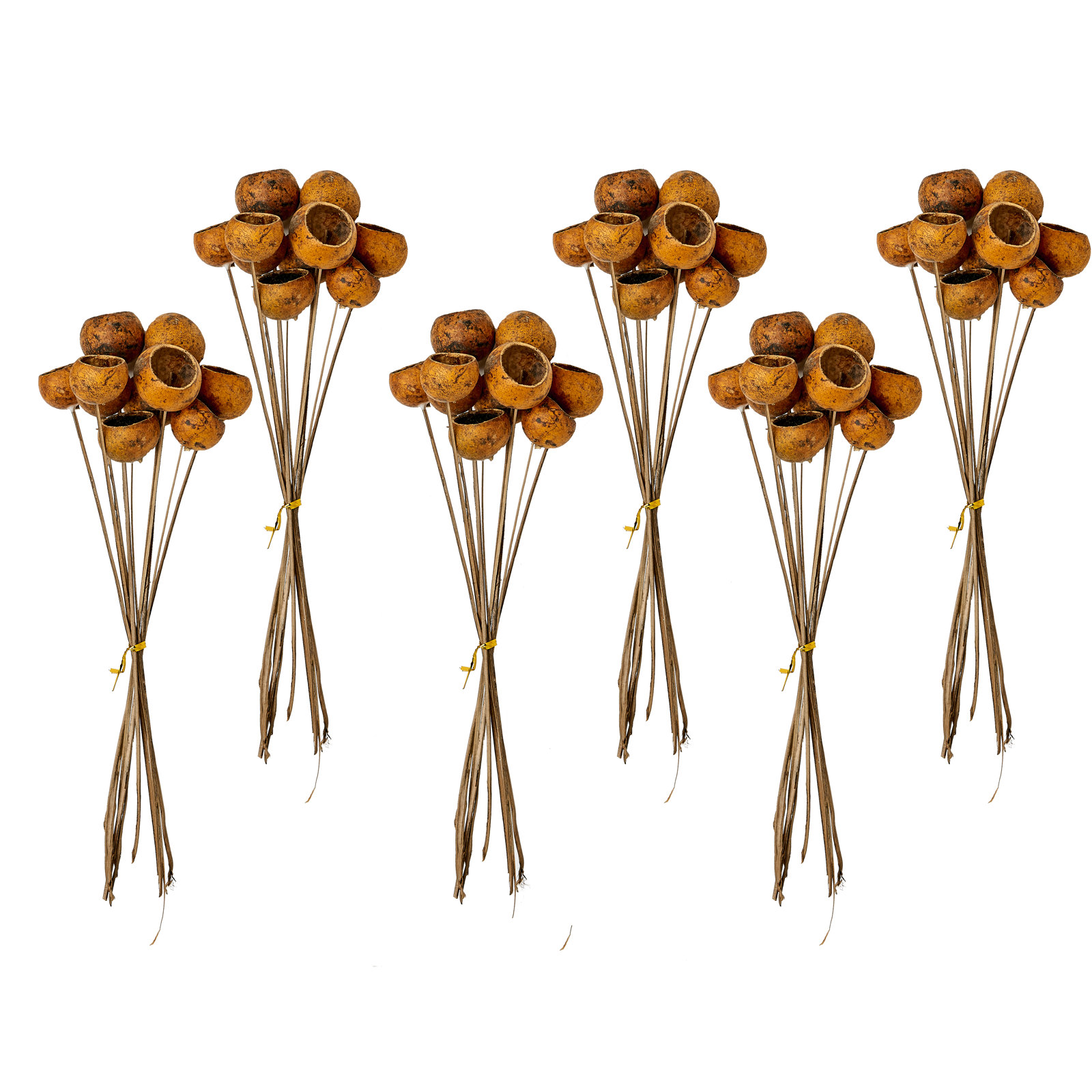Cup Pod Floral Stems, Rustic Gold