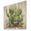 Impression de cactus vert désert II - fruits sur bois-209374109