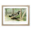 Spruce Grouse by J.L. Ridgway - Picture Frame Painting Print-55619741-55619742