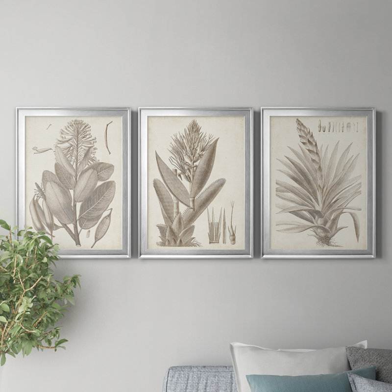 «Sepia Exotic Plants I», ensemble de 3 peintures sur toile encadrées, H 22,5 po x l 91,5 po x P 1,5 po, Argent