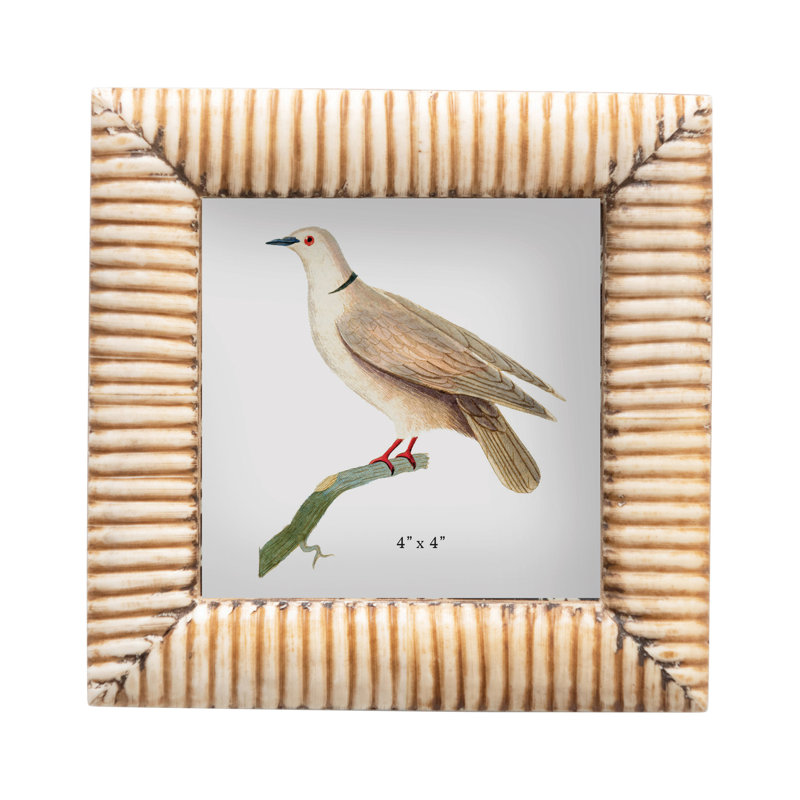 Ofra Bone Beveled Picture Frame