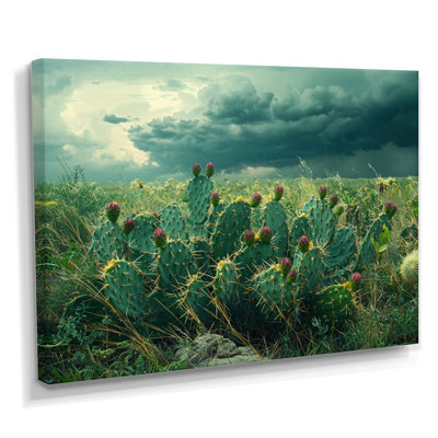 Décoration murale cactus et la tempête du désert - cactus