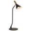 Farr Metal Desk Lamp