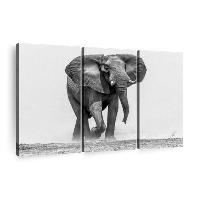 «Éléphant d'Afrique marchant» sur