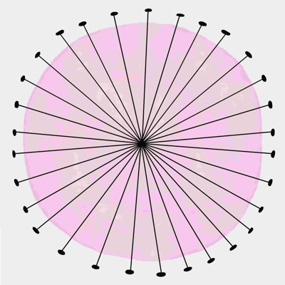 Big Mod - rose par - on