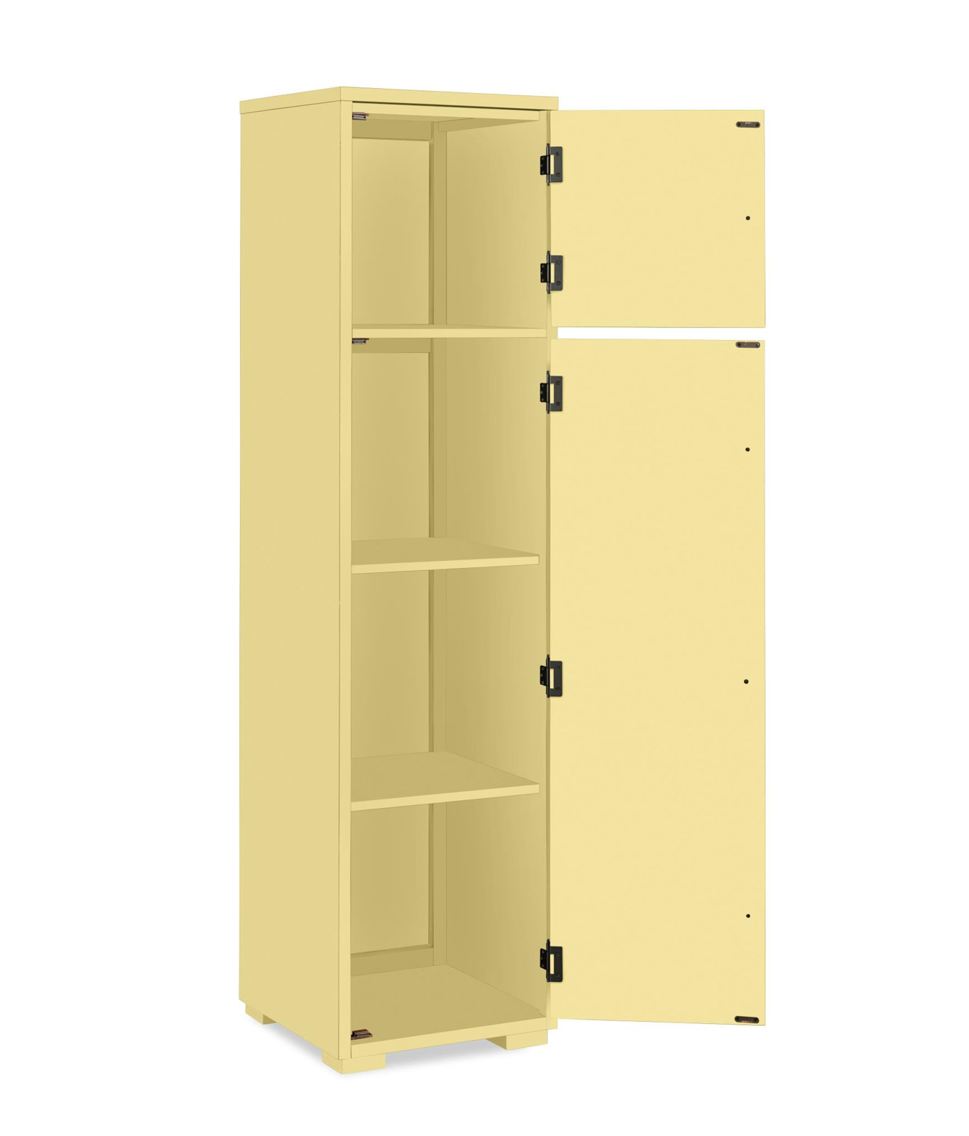 Bookcase, Golden Hour