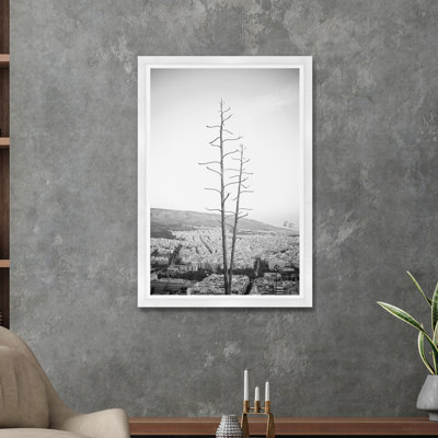 Agave sur les hauteurs d'Athènes III en noir et blanc