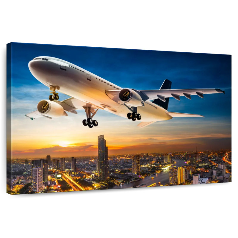 Mehar Transportation Plane, 32" H x 48" W