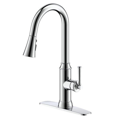 Single Handle Pull Down Kitchen Faucet in Polished Chrome