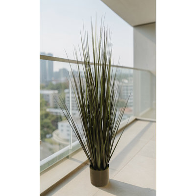 Herbe dans un pot 47 po