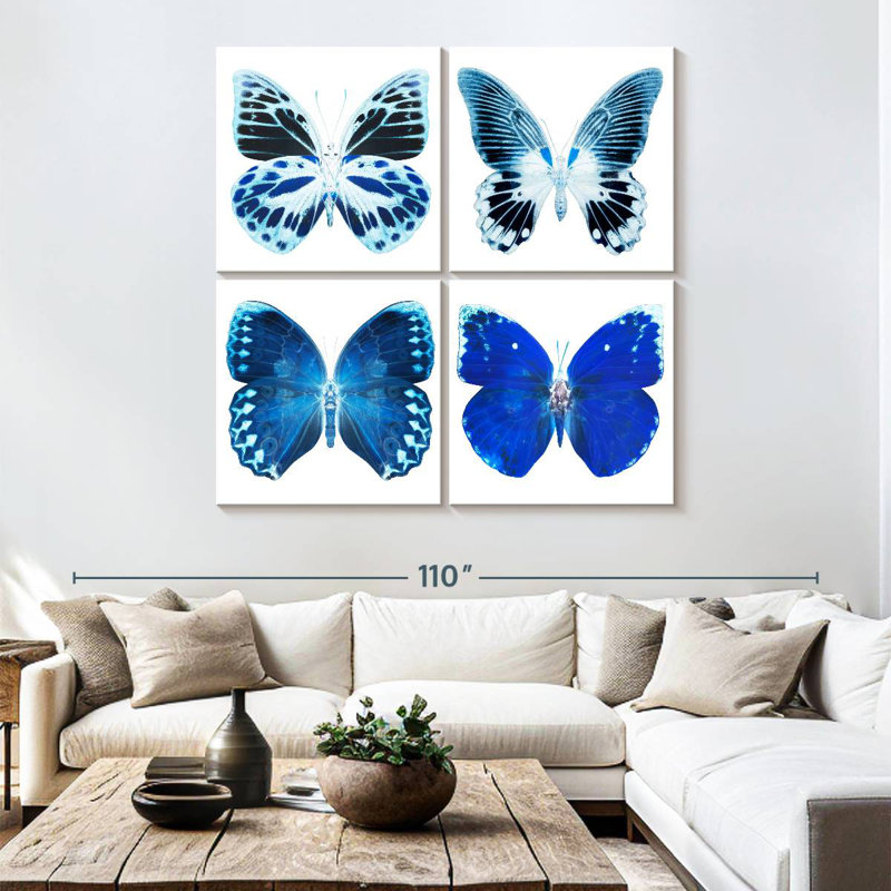 Radiographie de Brampt Miss Butterfly - bleu