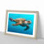 Swimming Sea Turtle in Abstract - Picture Frame Graphic Art Print on MDF-55728530-55728535