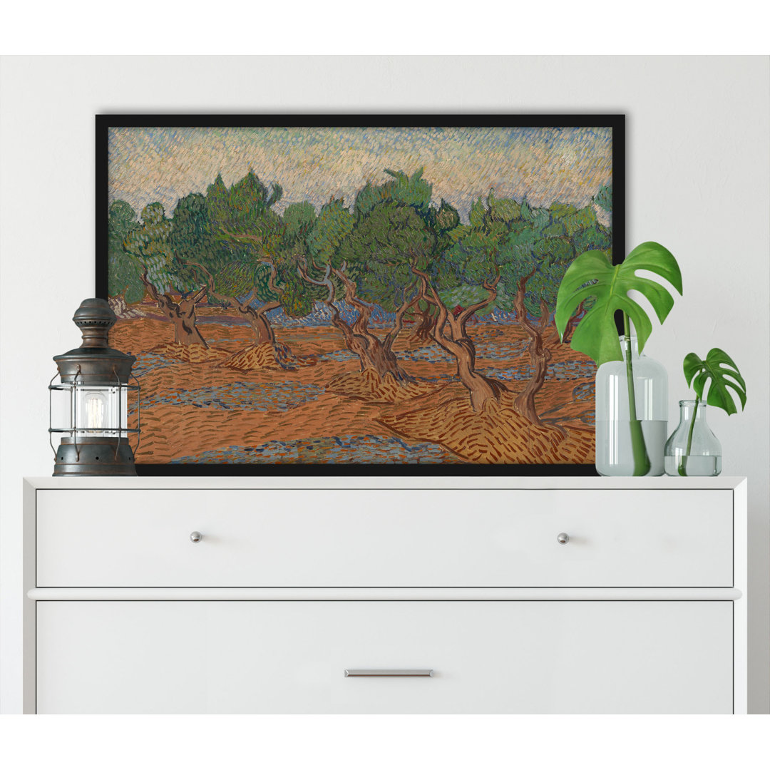 Gerahmter Kunstdruck Olive Grove von Vincent Van Gogh